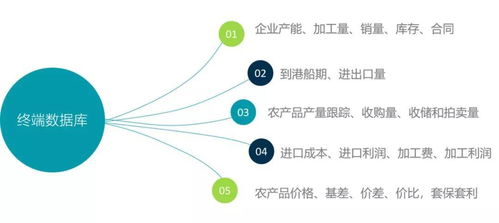 全國(guó)玉米、大豆、小麥價(jià)格數(shù)據(jù)及后期走勢(shì)分析——基于計(jì)算機(jī)軟件技術(shù)開發(fā)
